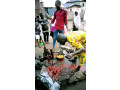 the-best-powerful-spiritual-herbalist-in-nigeria-small-2